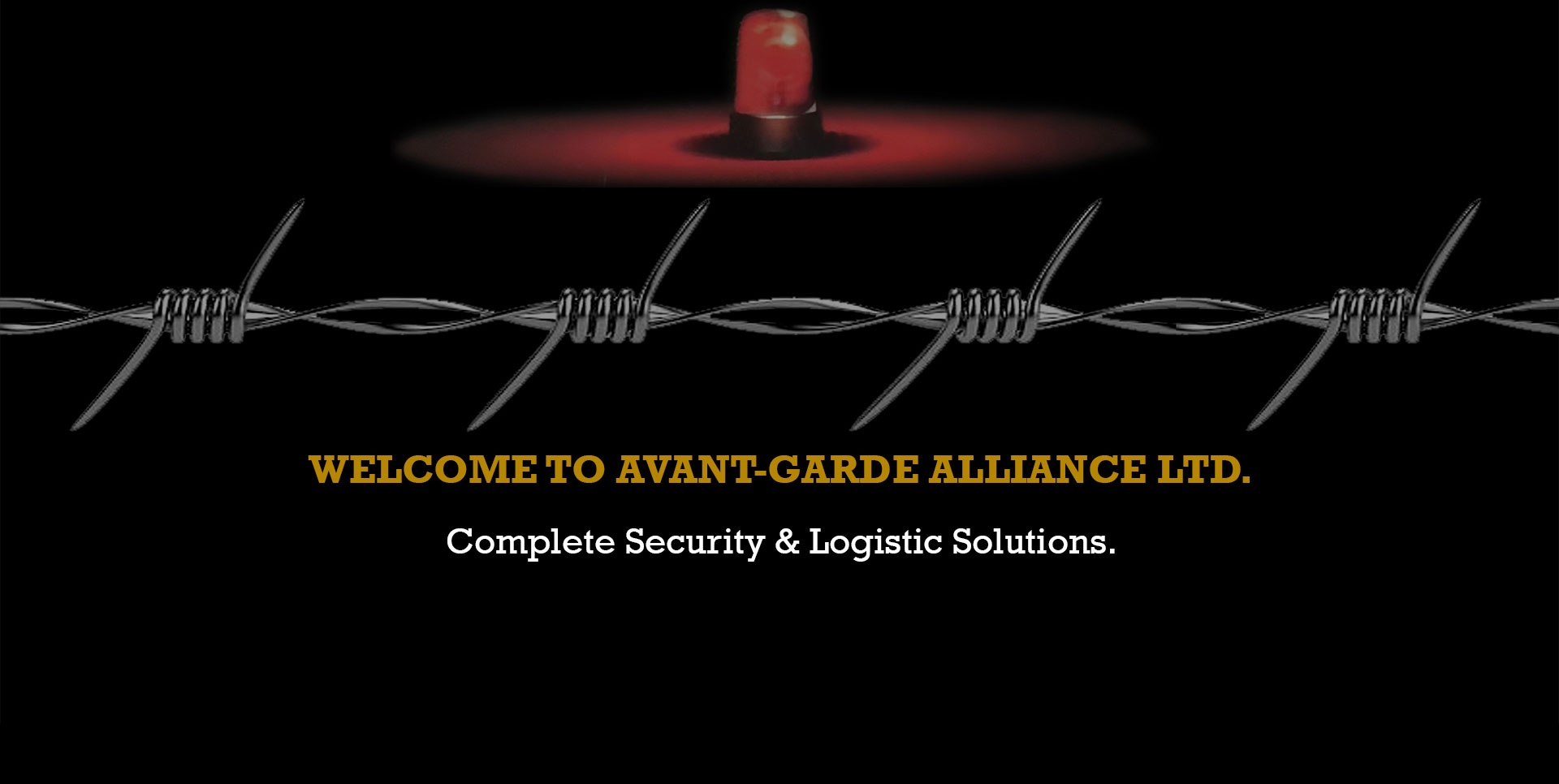 Avant garde Alliance Ltd